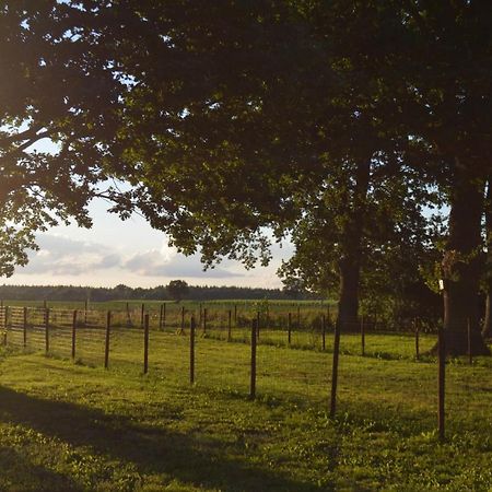 Ferienhaus Grafenland Villa Dersum Eksteriør billede